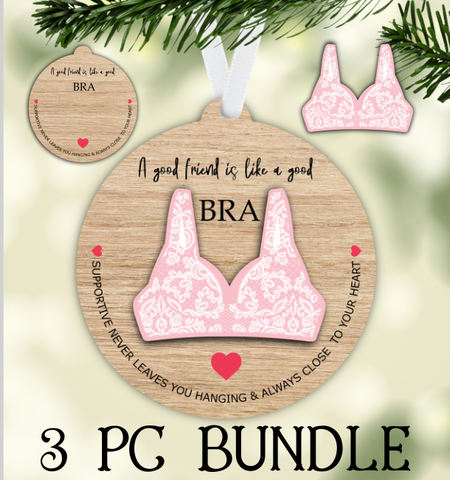 Digital Download - 3pc Bra friend design bundle - for our sublimation