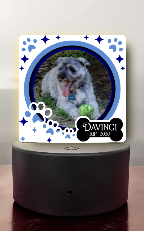 Digital Download Bundle - 7 Dog Paw Light Base Designs - For MSS blank ...